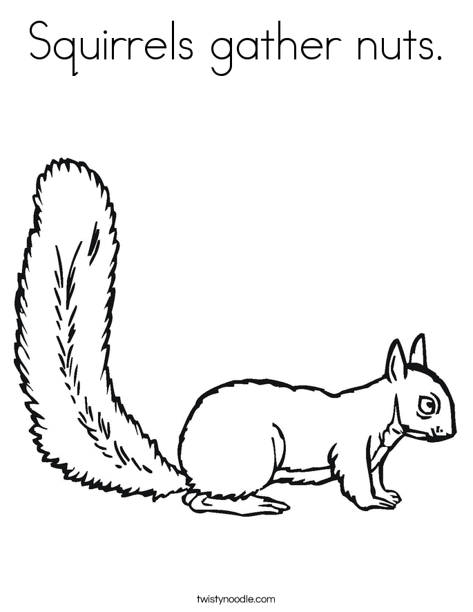 Squirrels gather nuts. Coloring Page