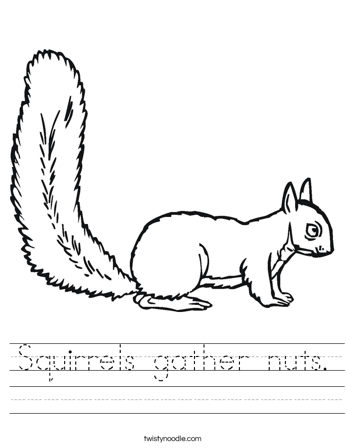 Squirrels gather nuts. Worksheet
