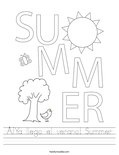 ¡Ya llego el verano! Summer Worksheet