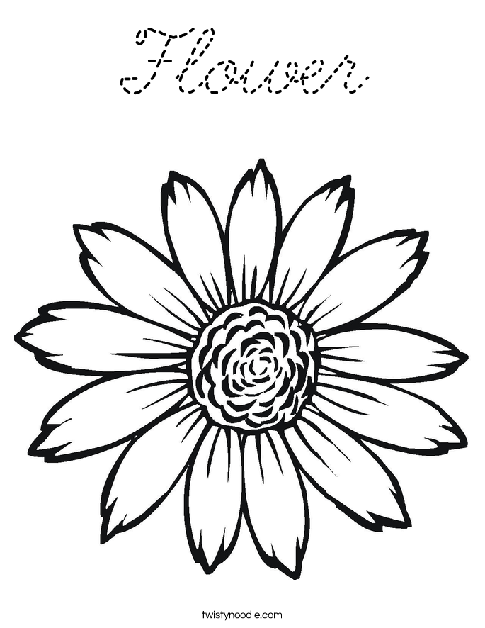  Coloring Page