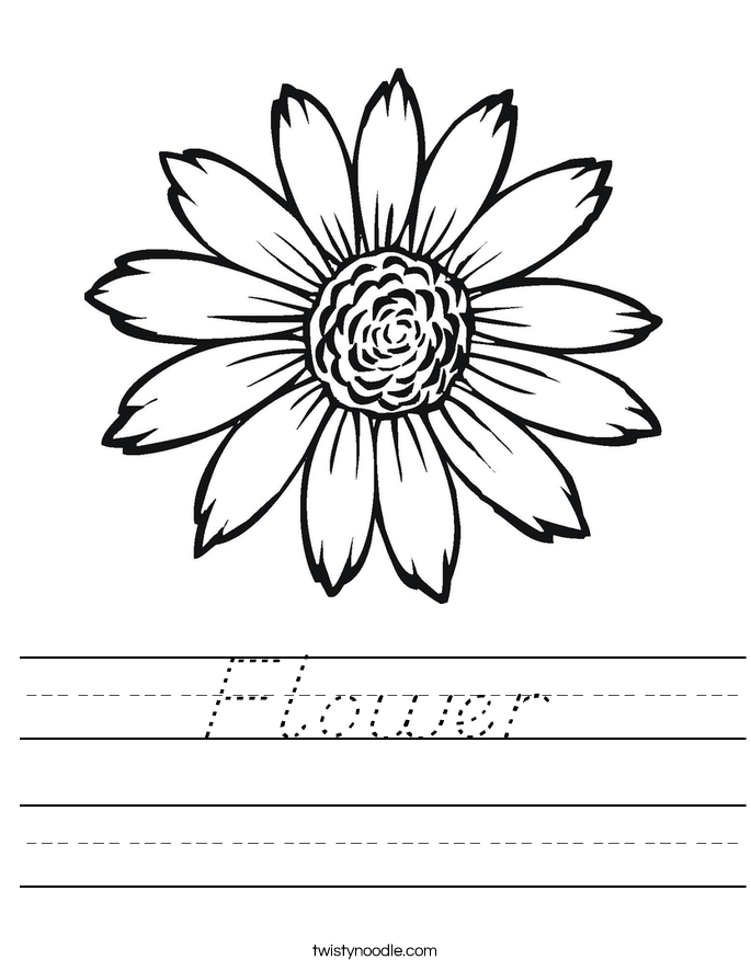 Flower Worksheet