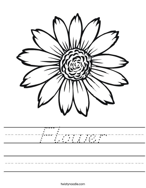 Sunflower Worksheet