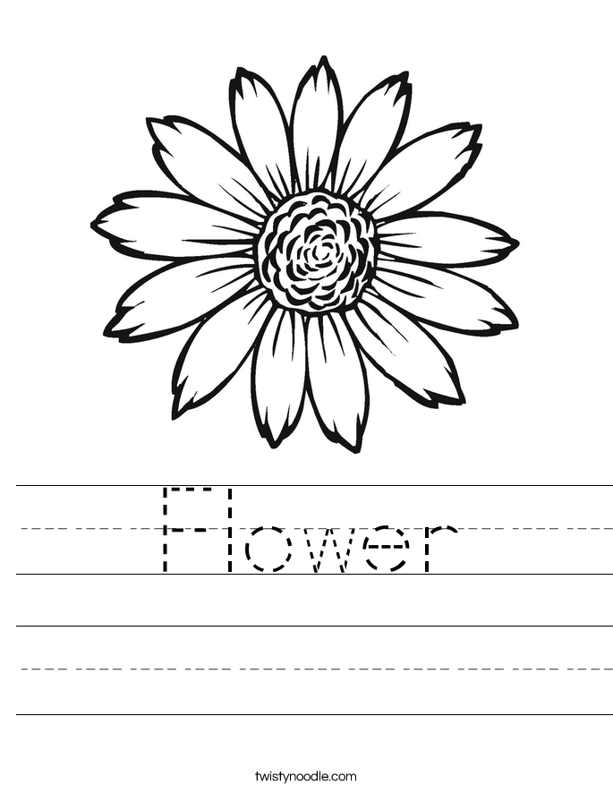 Flower Worksheet