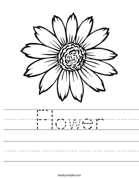 Sunflower Worksheet