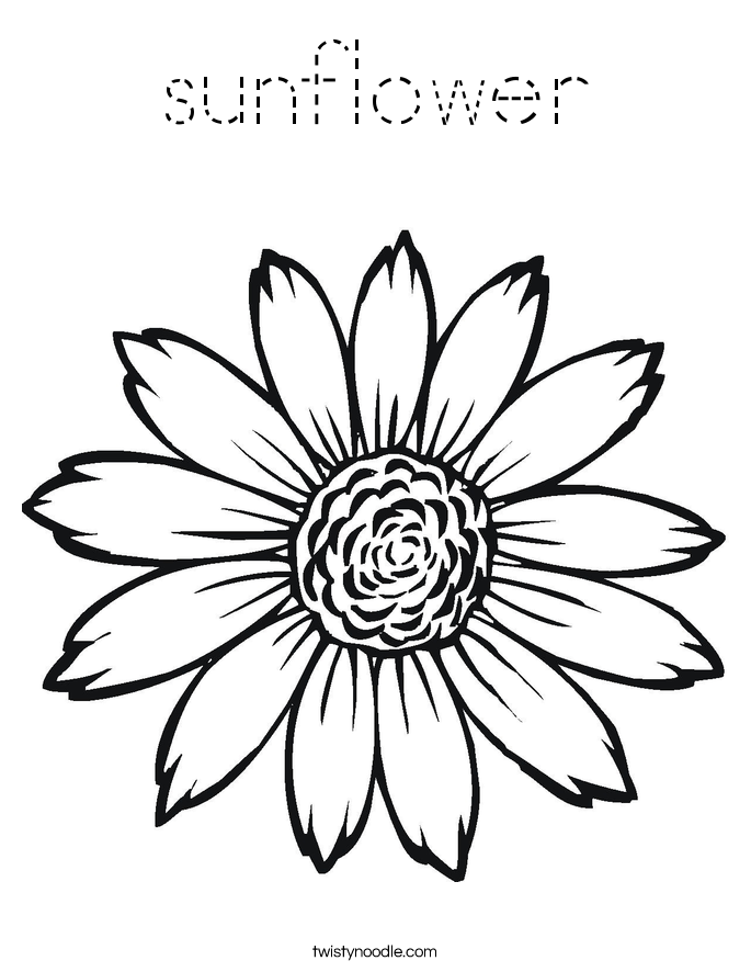 sunflower Coloring Page