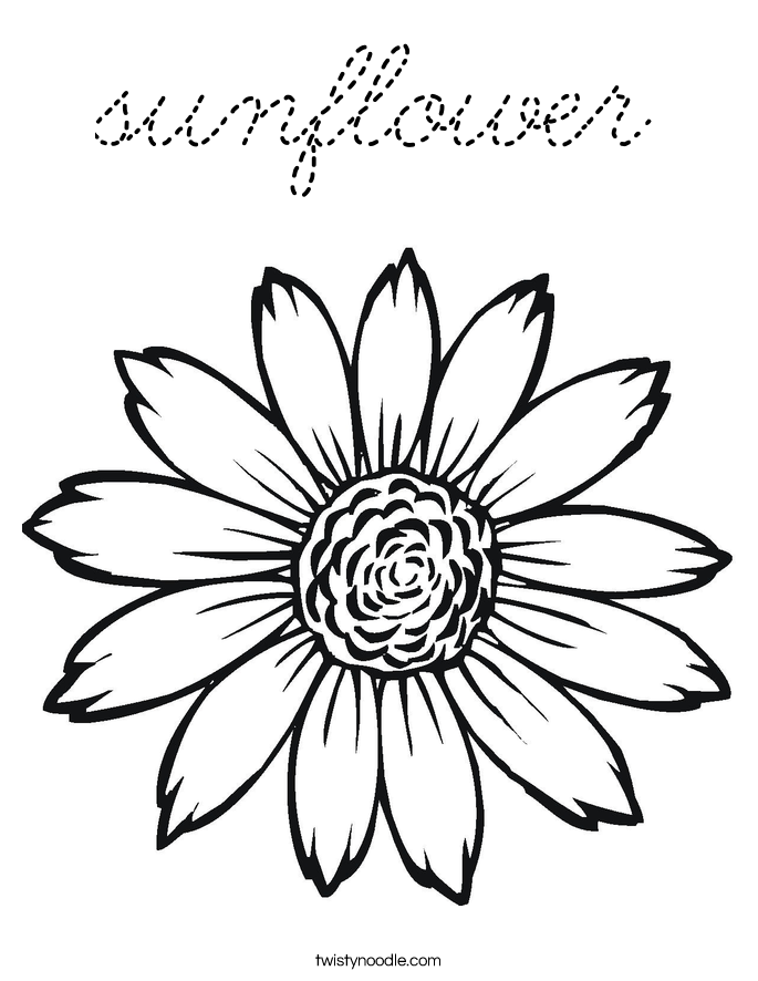  Coloring Page