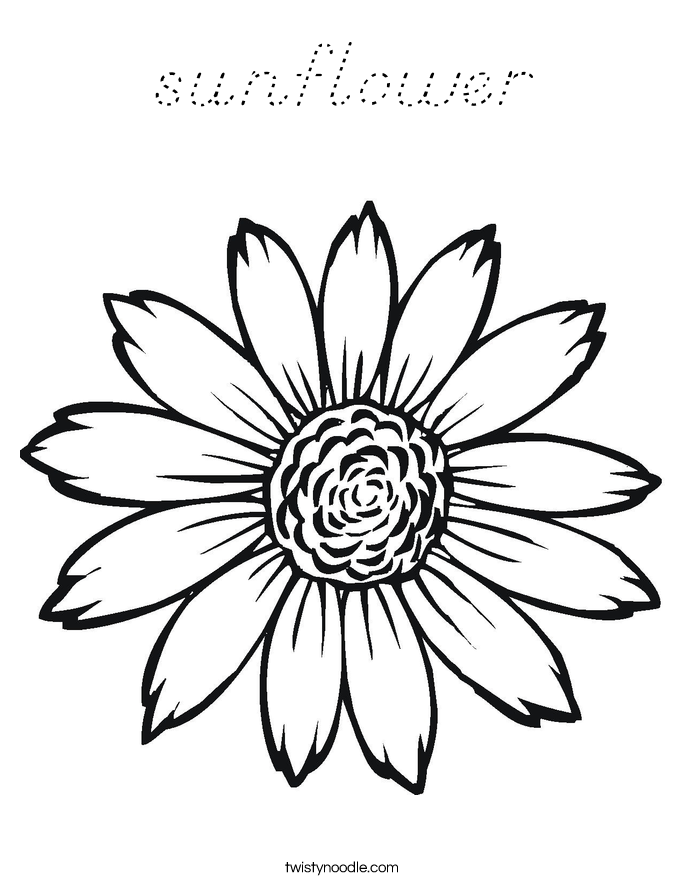 sunflower Coloring Page