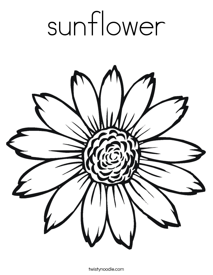 sunflower Coloring Page