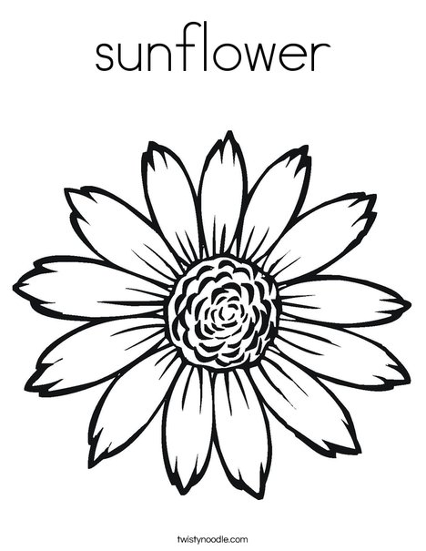 Sunflower Coloring Page