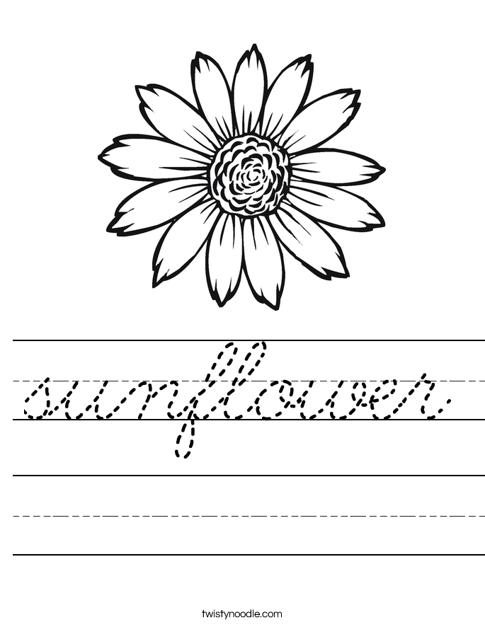 sunflower Worksheet