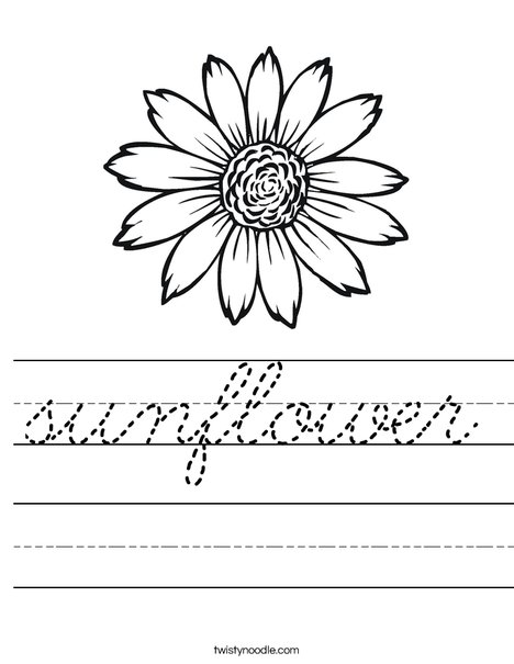 Sunflower Worksheet