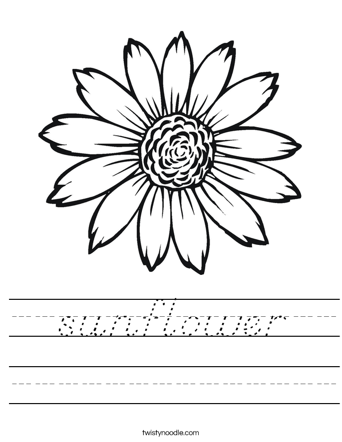 sunflower Worksheet