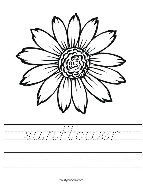 Sunflower Worksheet