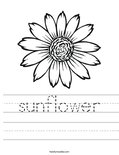 sunflower Worksheet