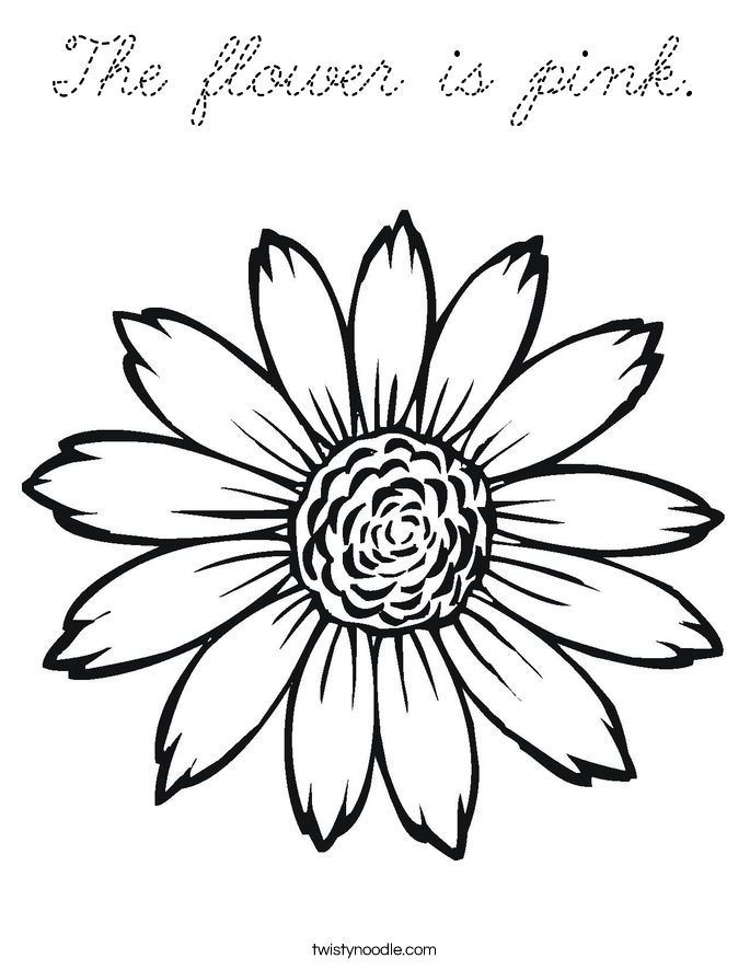  Coloring Page