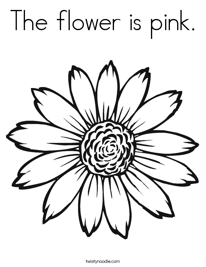 The flower is pink. Coloring Page