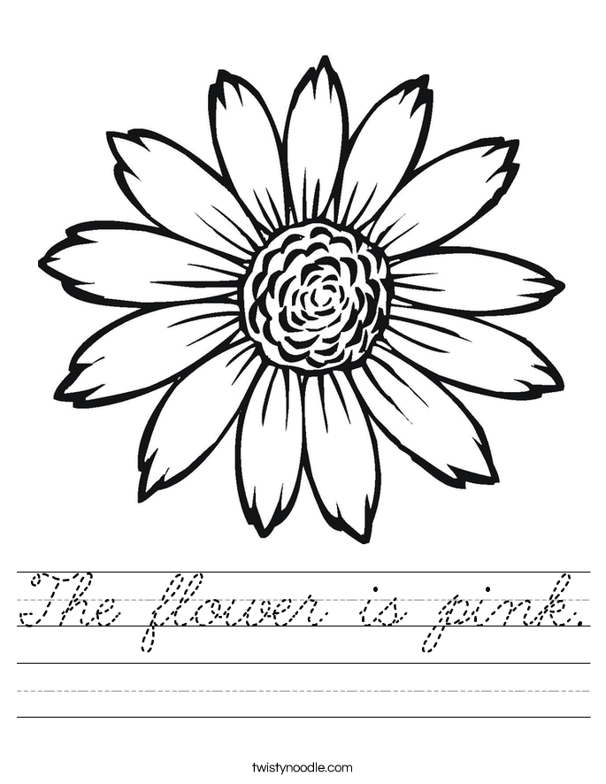 The flower is pink. Worksheet