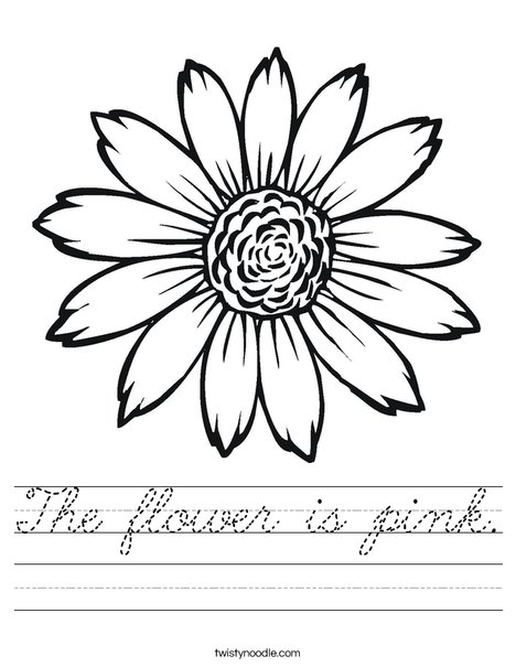 Sunflower Worksheet