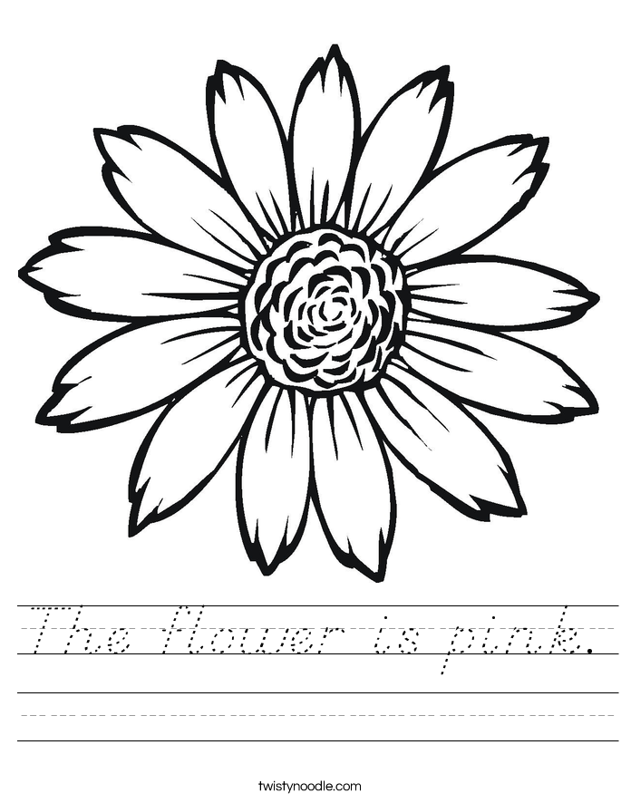 The flower is pink. Worksheet