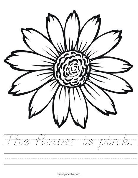 Sunflower Worksheet