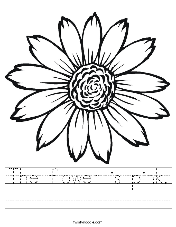 The flower is pink. Worksheet