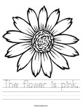 The flower is pink. Worksheet