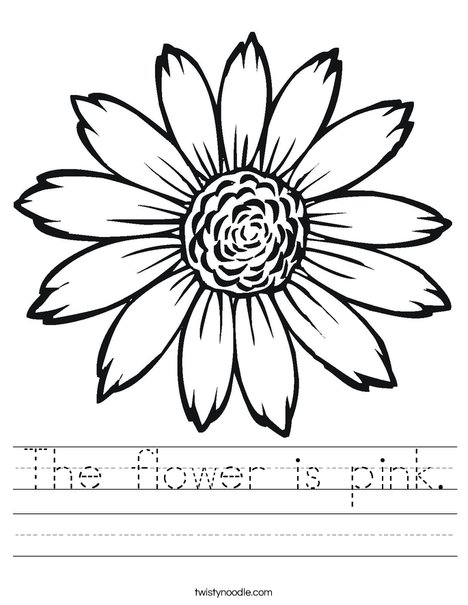 Sunflower Worksheet