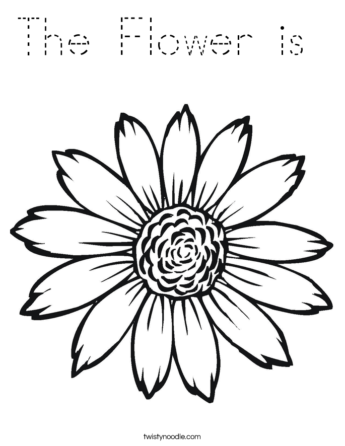 The Flower is  Coloring Page