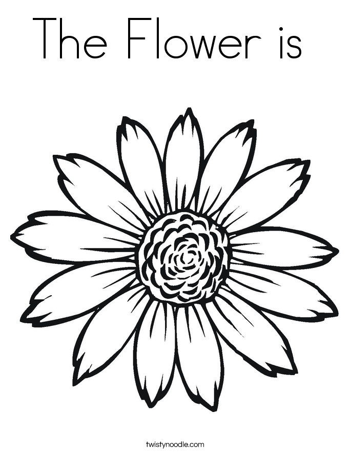 The Flower is  Coloring Page