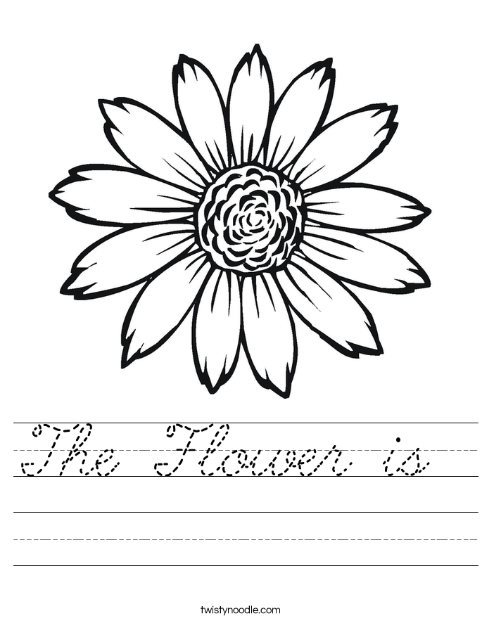 The Flower is  Worksheet