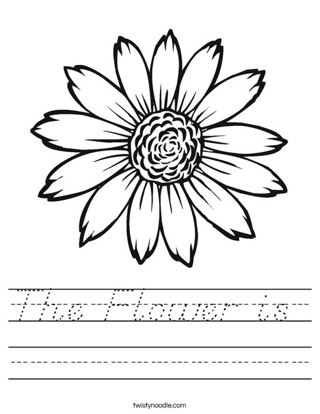 Sunflower Worksheet