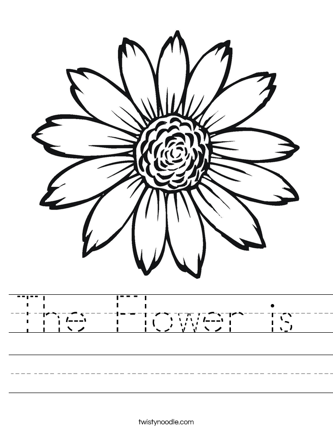The Flower is  Worksheet