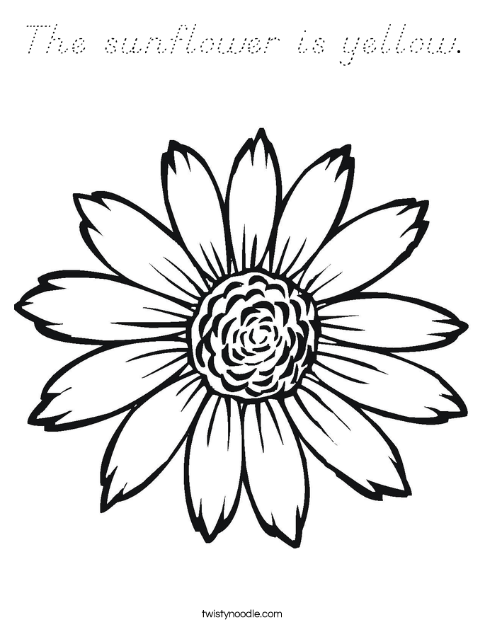 The sunflower is yellow. Coloring Page