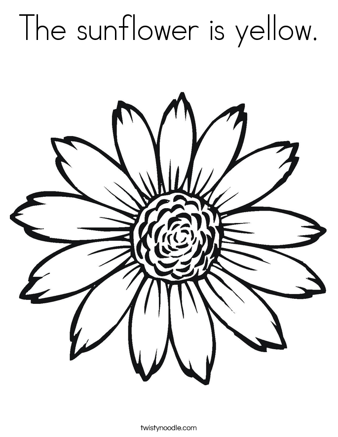 The sunflower is yellow. Coloring Page