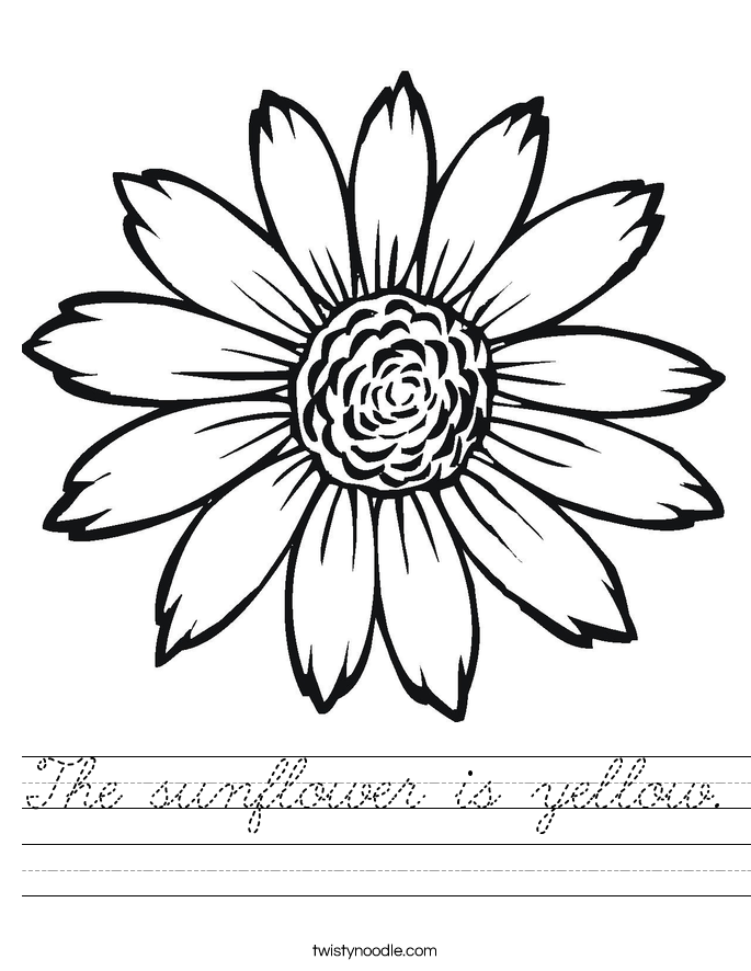 The sunflower is yellow. Worksheet