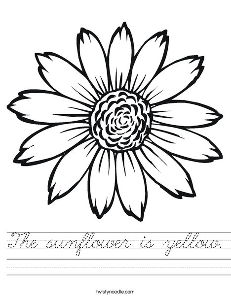 Sunflower Worksheet