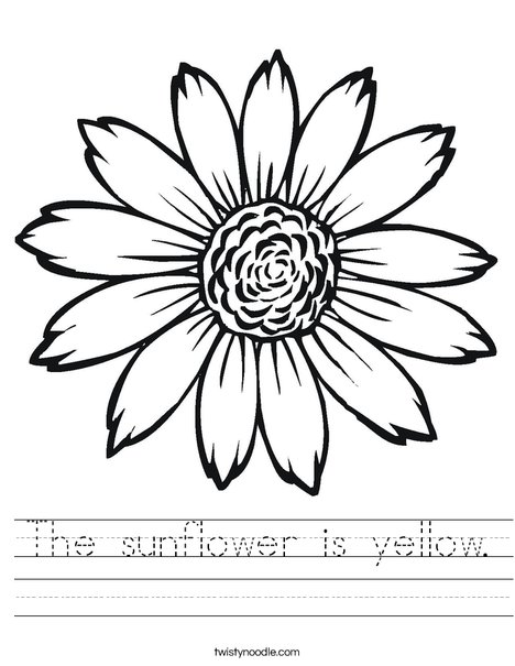 Sunflower Worksheet