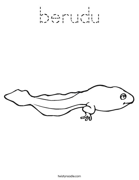 Tadpole Coloring Page