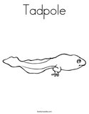 Tadpole Coloring Page