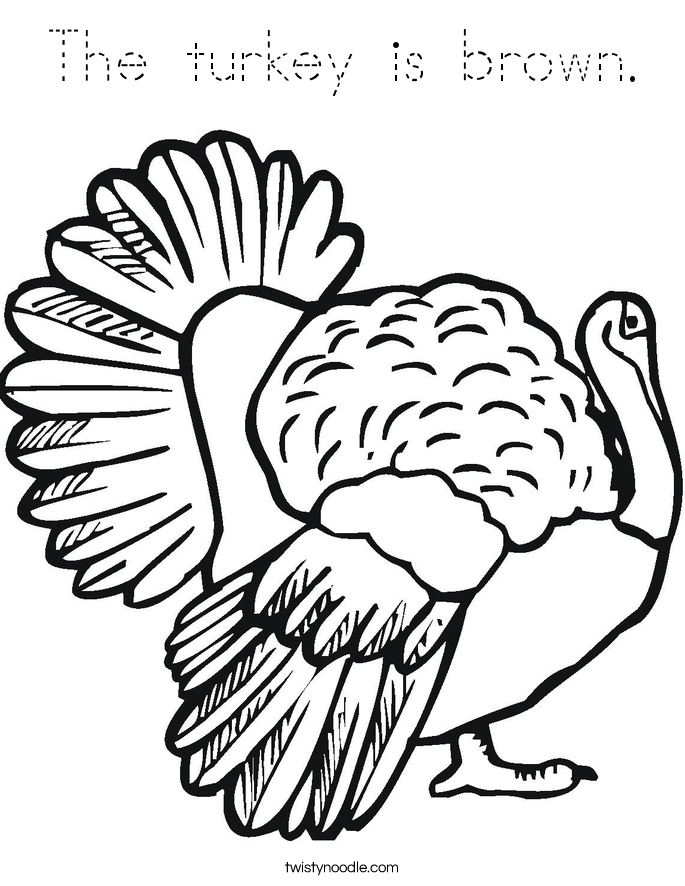 The turkey is brown. Coloring Page