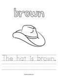 The hat is brown. Worksheet