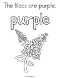 The lilacs are purple. Coloring Page