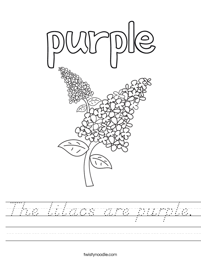 The lilacs are purple. Worksheet