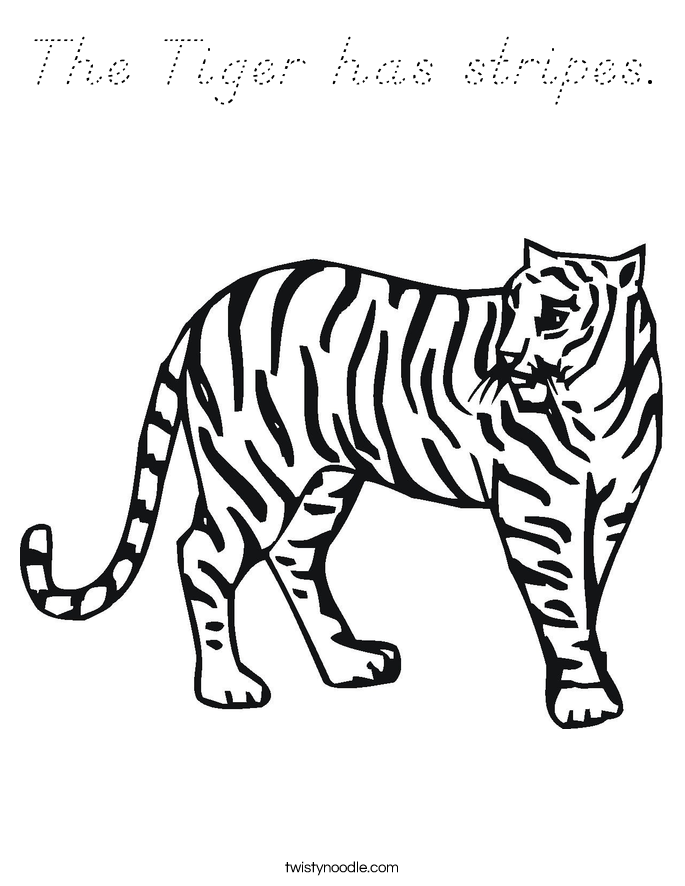 The Tiger has stripes. Coloring Page