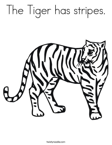 The Tiger Has Stripes Coloring Page Twisty Noodle Tiger Coloring Page