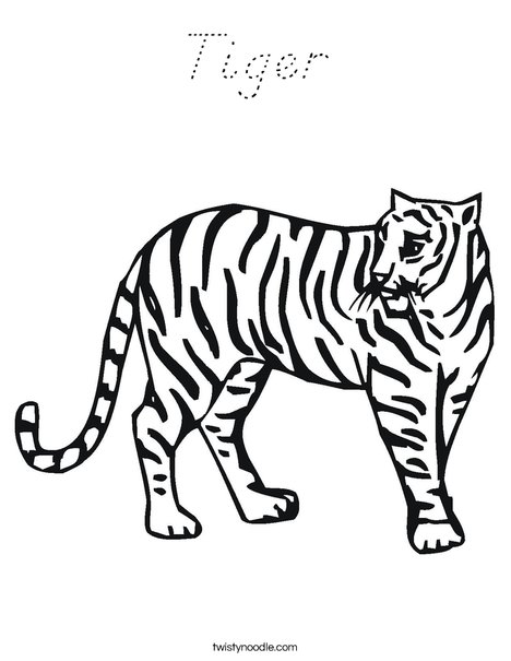 Tiger Coloring Page - D'Nealian - Twisty Noodle