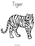TigerColoring Page