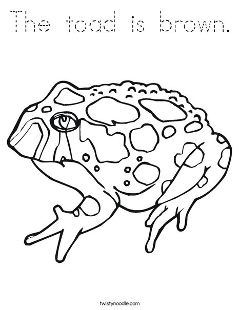 Toad with Spots Coloring Page