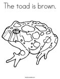 The toad is brown. Coloring Page