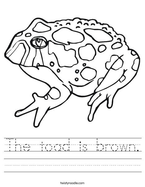 Toad with Spots Worksheet